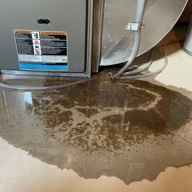 Appliance Leak Cleanup in Hamilton, TX